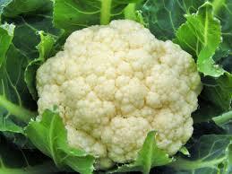 Hill Vegetable Seeds