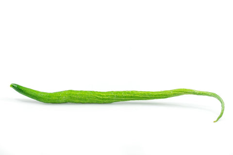 Snake Gourd
