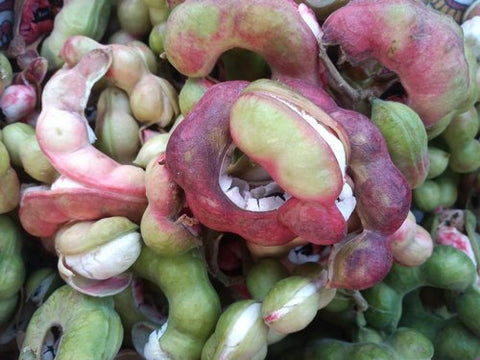 Kodukka puli