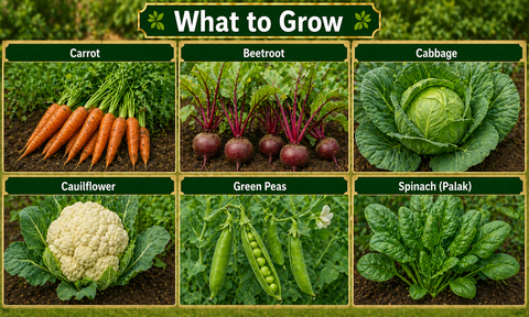Winter Seed Kit