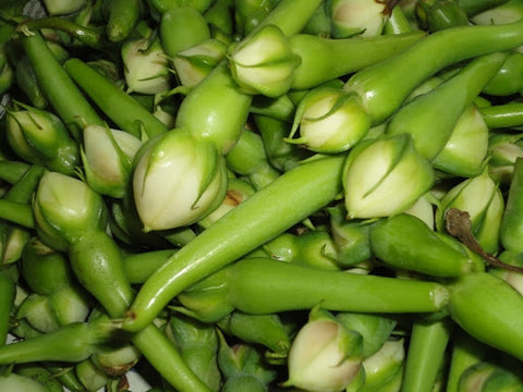 Green Mookuththi Avarai ( Clove Beans )