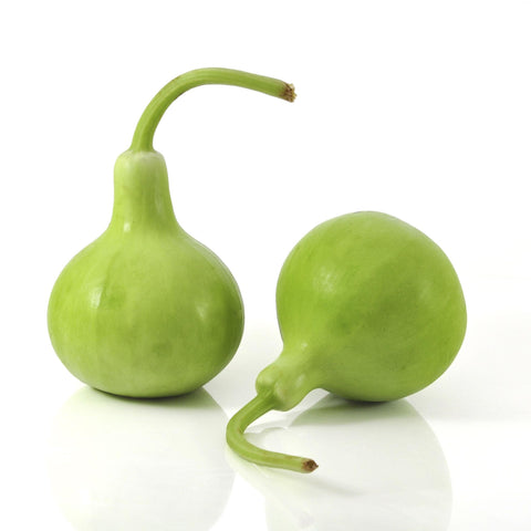 Bottle Gourd - Round