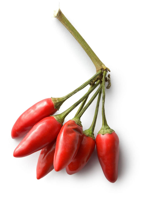 Chilli Small (Sini Chilli)