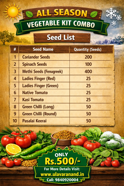 All-Season Vegetables