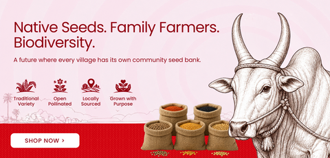 Advertisement for native seeds with a bull illustration and seed packets on a red background.
