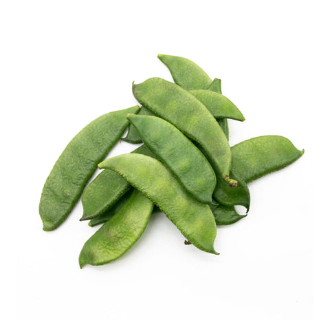 Lablab Bush