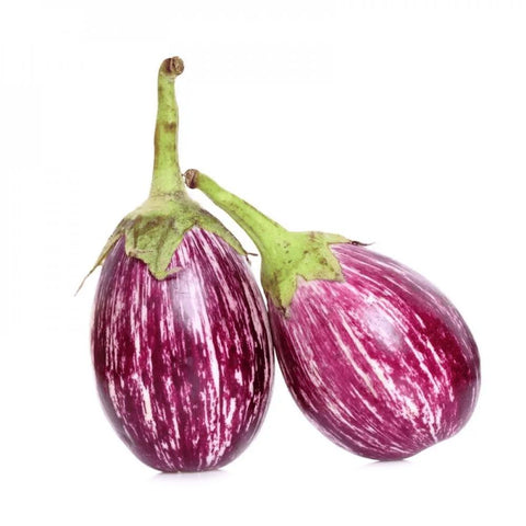 Thorn Brinjal - Namakkal