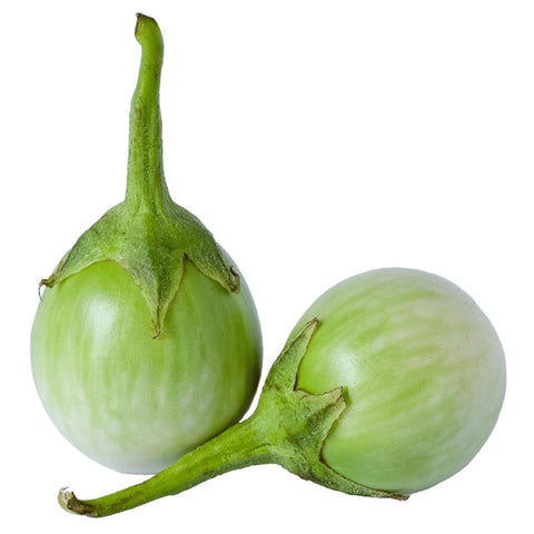 Green Brinjal
